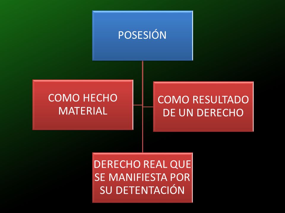DERECHO REAL QUE SE MANIFIESTA POR SU DETENTACIÓN COMO HECHO MATERIAL