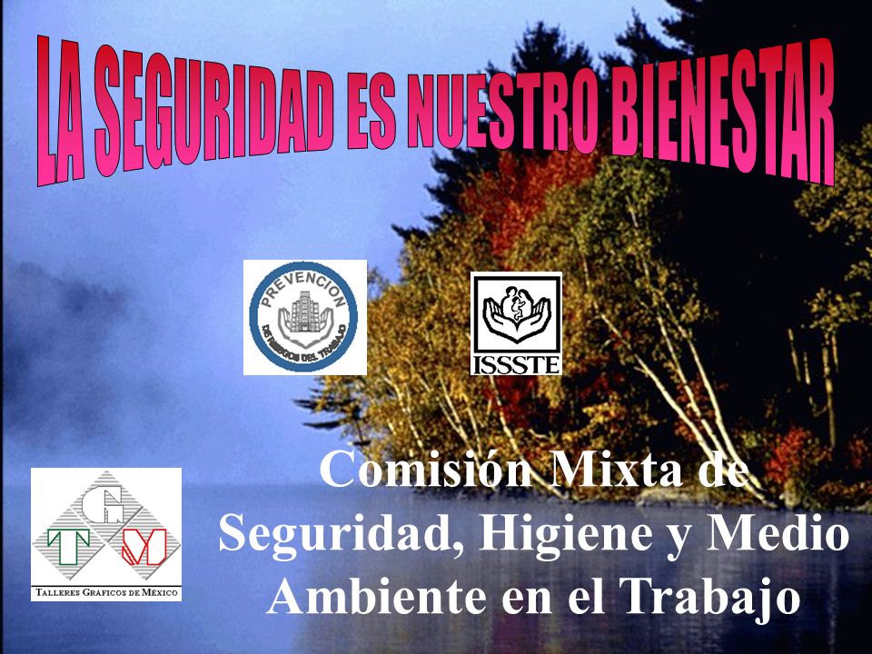 Comisión Mixta de Seguridad, Higiene y Medio Ambiente en el Trabajo