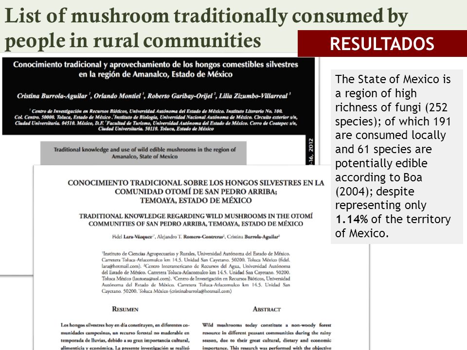 List of mushroom traditionally consumed by people in rural communities