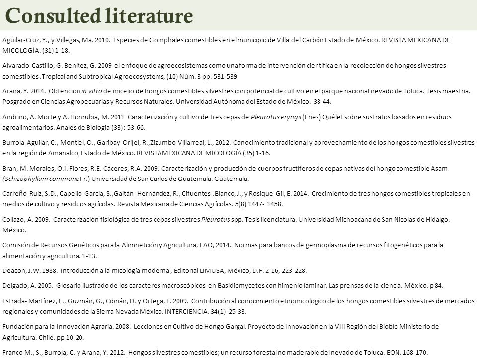Consulted literature