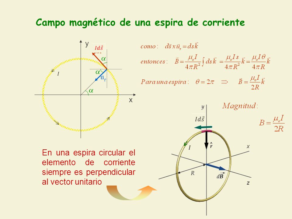 Campo magnético de una espira de corriente