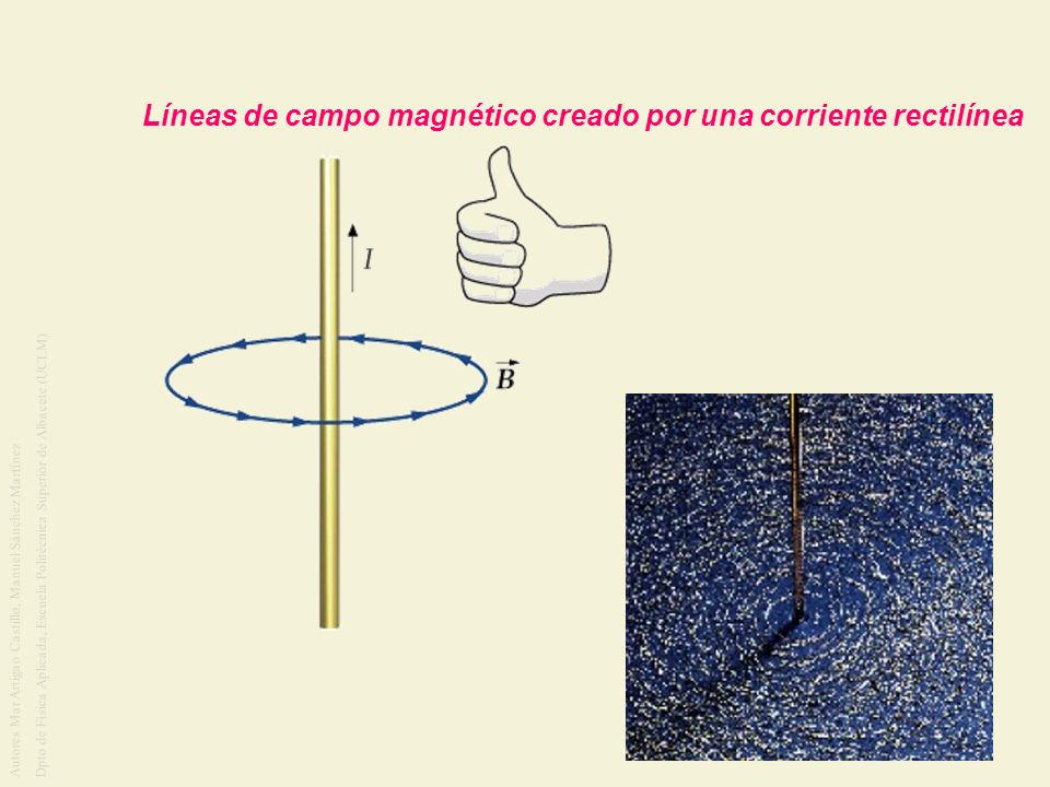 Líneas de campo magnético creado por una corriente rectilínea