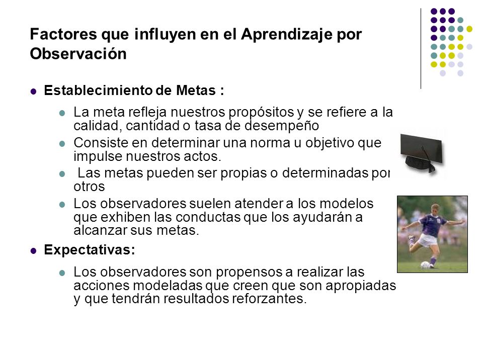 Factores que influyen en el Aprendizaje por Observación