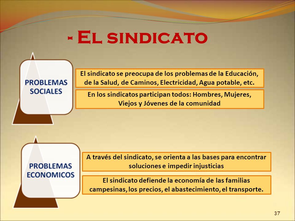 - El sindicato El sindicato se preocupa de los problemas de la Educación, de la Salud, de Caminos, Electricidad, Agua potable, etc.