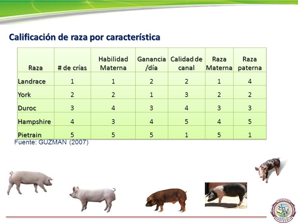 Raza # de crías Habilidad Materna Ganancia /día Calidad de canal