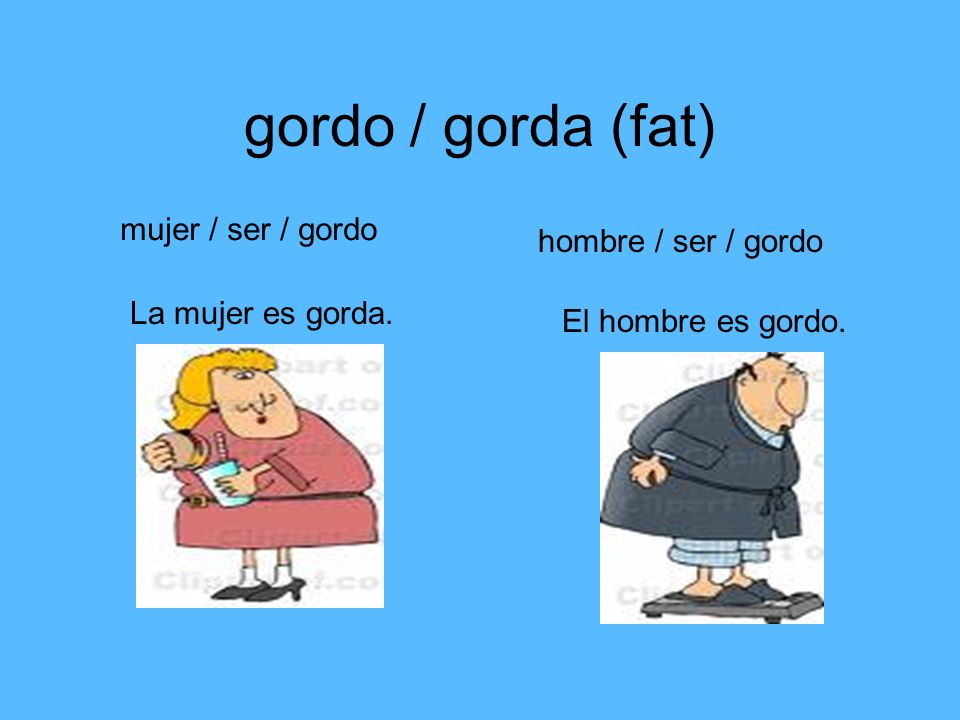gordo / gorda (fat) mujer / ser / gordo hombre / ser / gordo