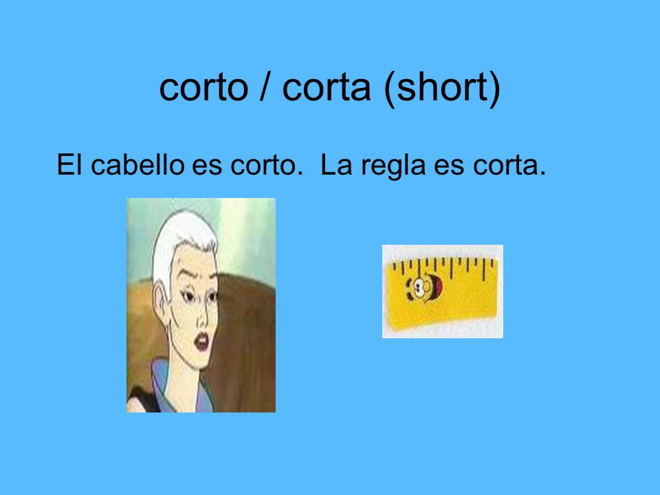 corto / corta (short) El cabello es corto. La regla es corta.