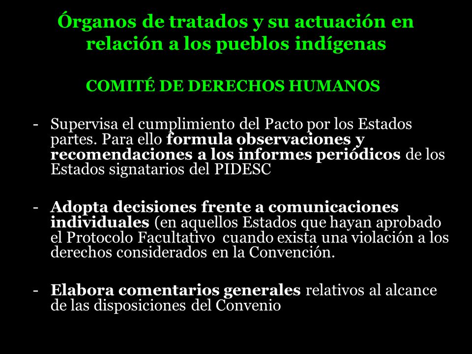 Órganos de tratados y su actuación en relación a los pueblos indígenas