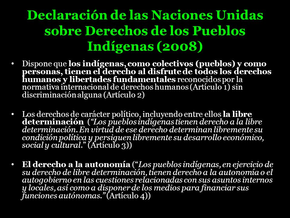 Declaración de las Naciones Unidas sobre Derechos de los Pueblos Indígenas (2008)