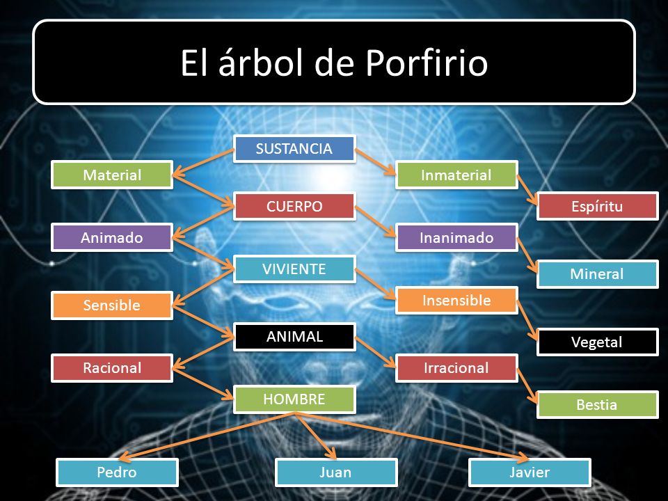 El árbol de Porfirio SUSTANCIA Material Inmaterial CUERPO Espíritu