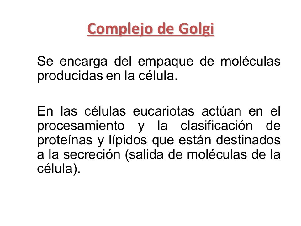 Complejo de Golgi Se encarga del empaque de moléculas producidas en la célula.