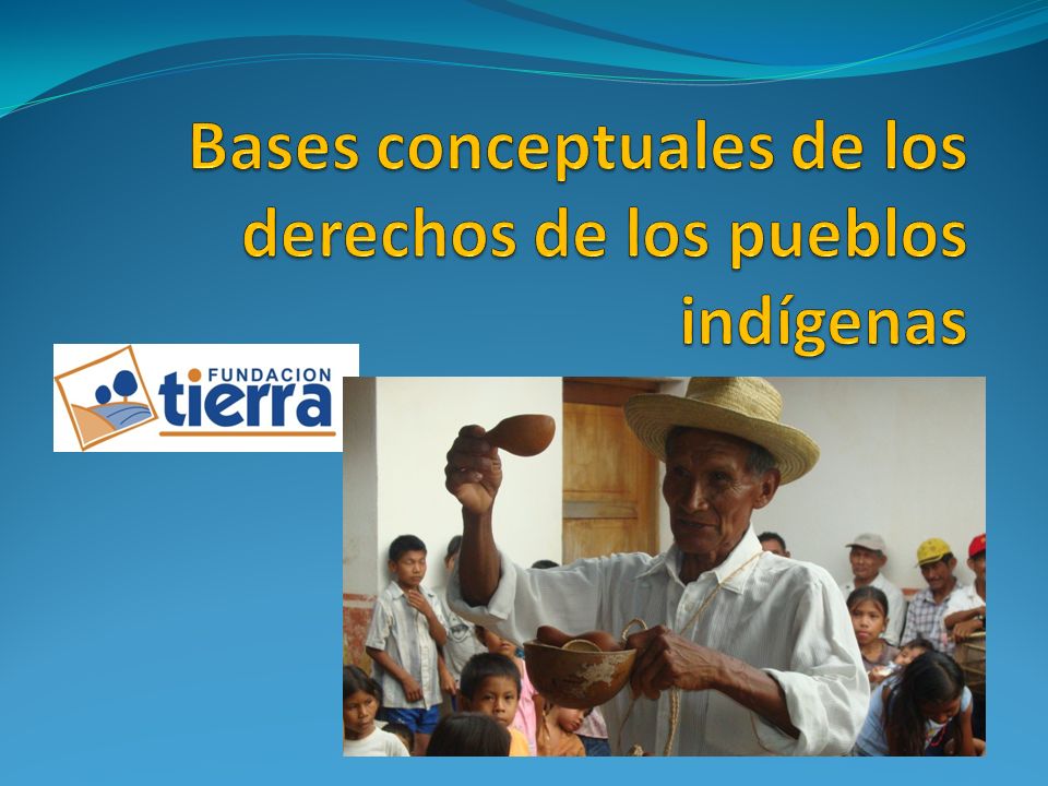 Bases conceptuales de los derechos de los pueblos indígenas