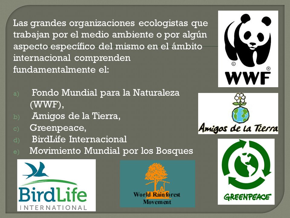 Las grandes organizaciones ecologistas que trabajan por el medio ambiente o por algún aspecto específico del mismo en el ámbito internacional comprenden fundamentalmente el: