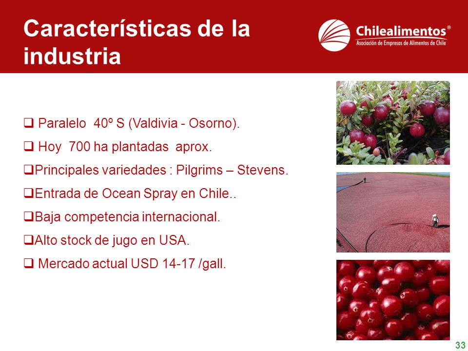 Características de la industria Paralelo 40º S (Valdivia - Osorno).