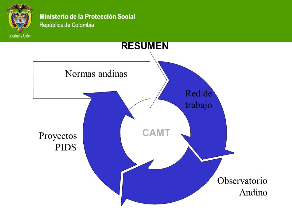 RESUMEN Normas andinas Red de trabajo CAMT Proyectos PIDS