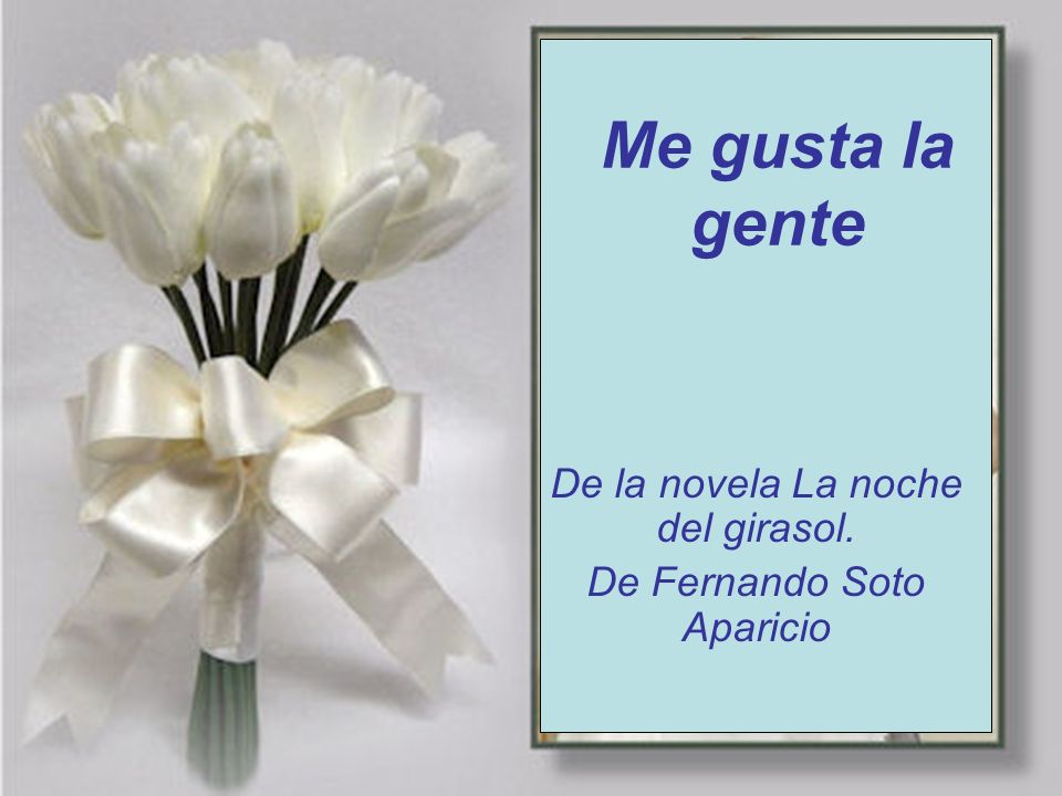 De la novela La noche del girasol. De Fernando Soto Aparicio