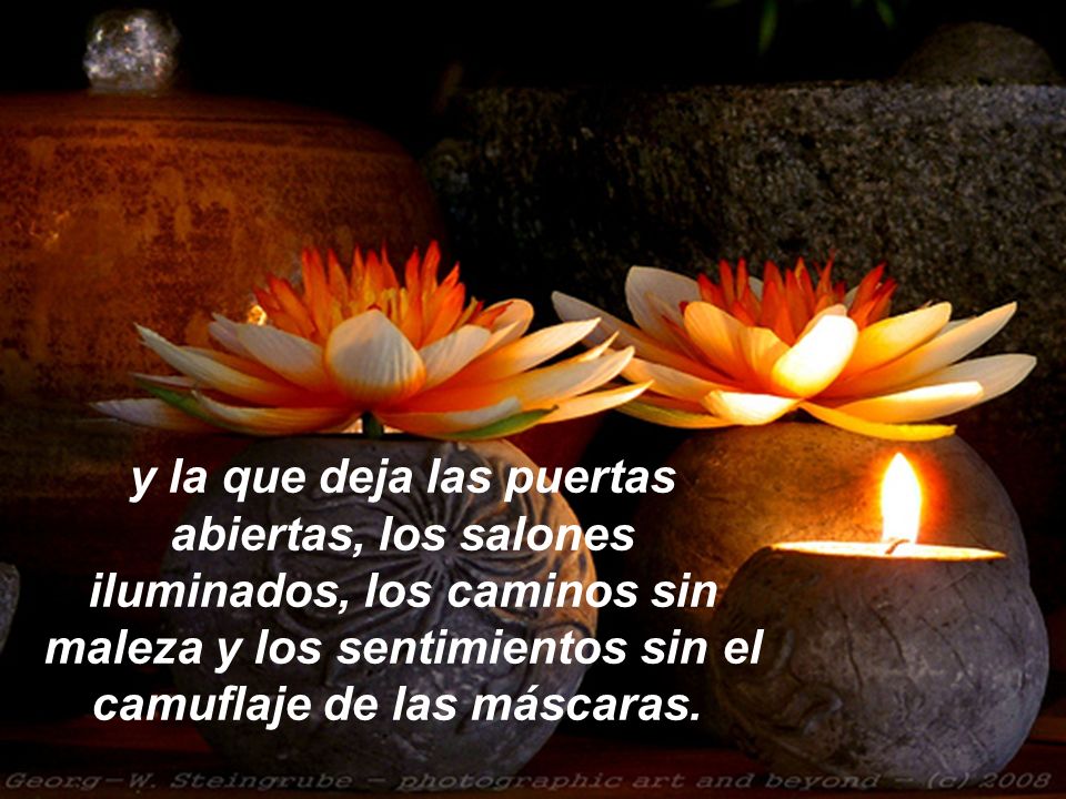 y la que deja las puertas abiertas, los salones iluminados, los caminos sin maleza y los sentimientos sin el camuflaje de las máscaras.