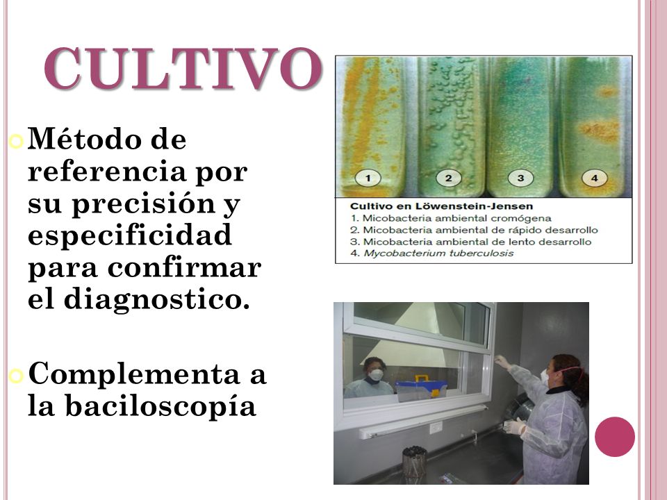 CULTIVO Método de referencia por su precisión y especificidad para confirmar el diagnostico.