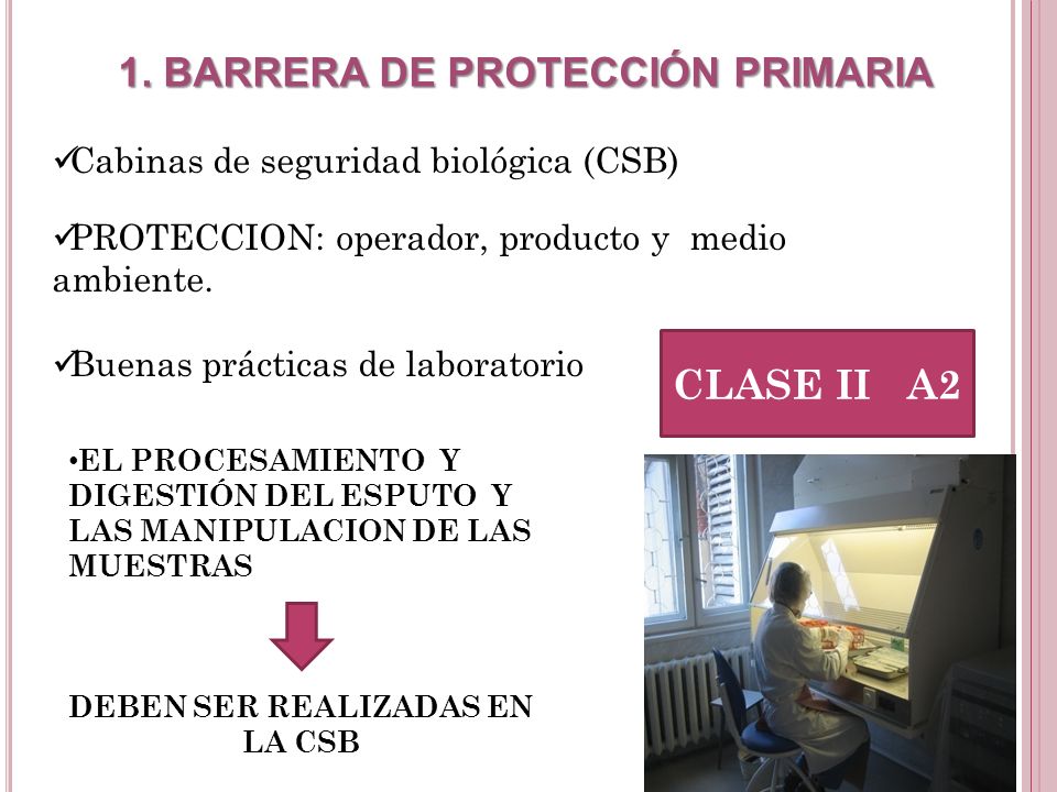 DEBEN SER REALIZADAS EN LA CSB