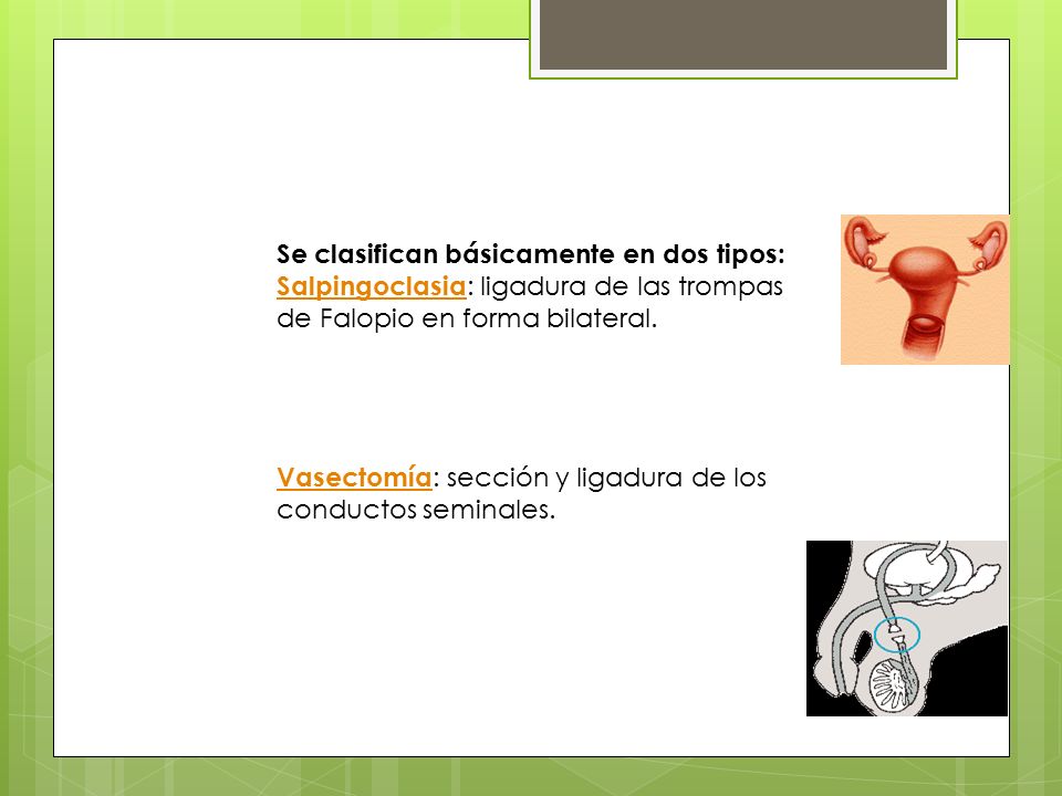 Se clasifican básicamente en dos tipos: