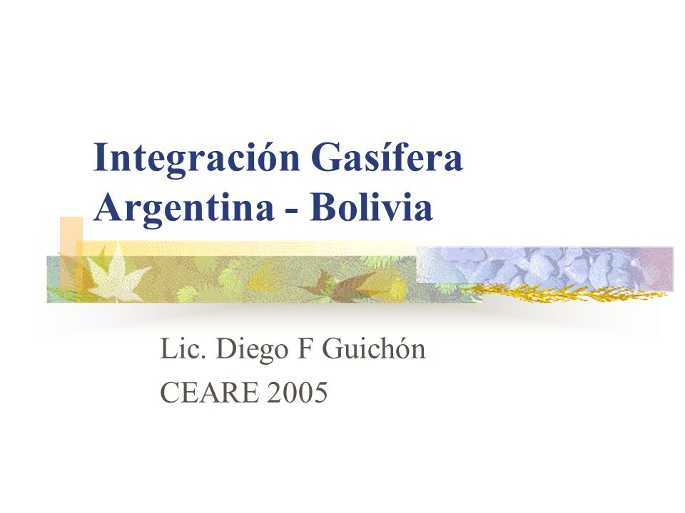 Integración Gasífera Argentina - Bolivia