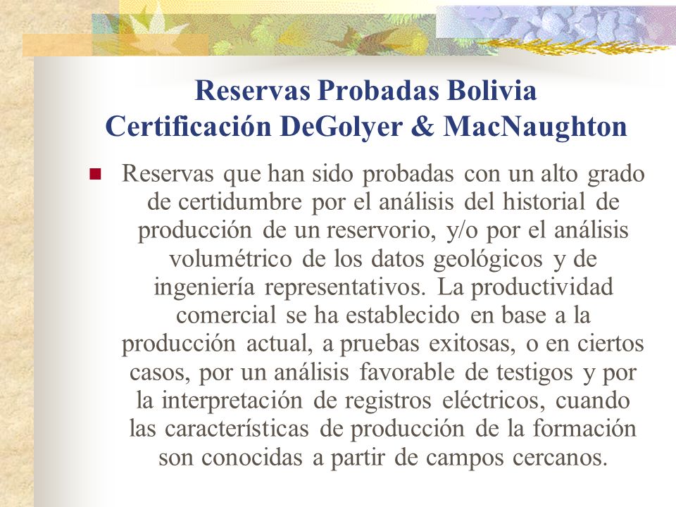 Reservas Probadas Bolivia Certificación DeGolyer & MacNaughton