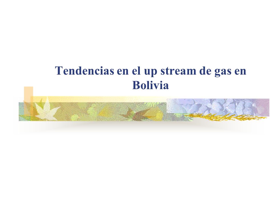 Tendencias en el up stream de gas en Bolivia