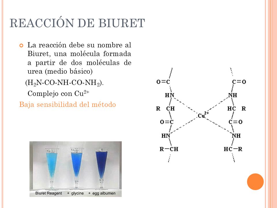 REACCIÓN DE BIURET La reacción debe su nombre al Biuret, una molécula formada a partir de dos moléculas de urea (medio básico)
