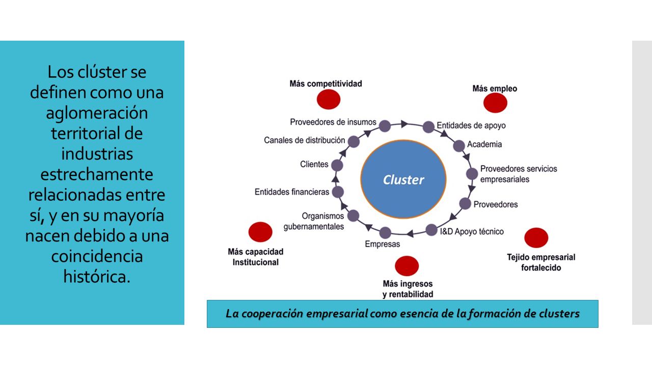 La cooperación empresarial como esencia de la formación de clusters