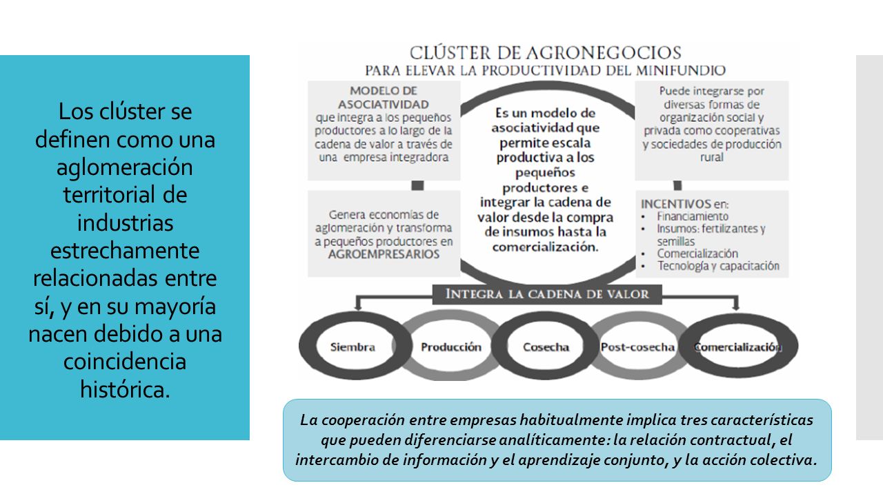 Los clúster se definen como una aglomeración territorial de industrias estrechamente relacionadas entre sí, y en su mayoría nacen debido a una coincidencia histórica.
