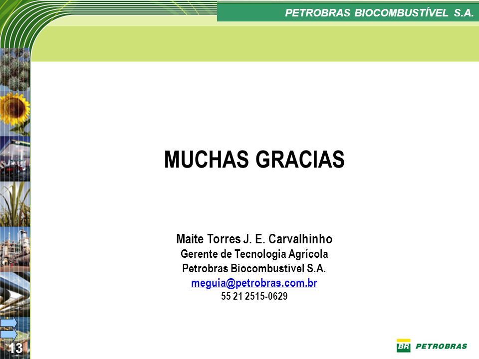 PETROBRAS BIOCOMBUSTÍVEL S.A.