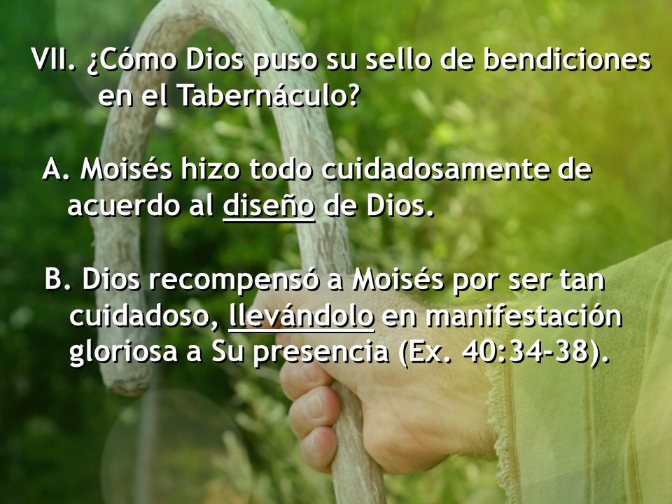 VII. ¿Cómo Dios puso su sello de bendiciones en el Tabernáculo