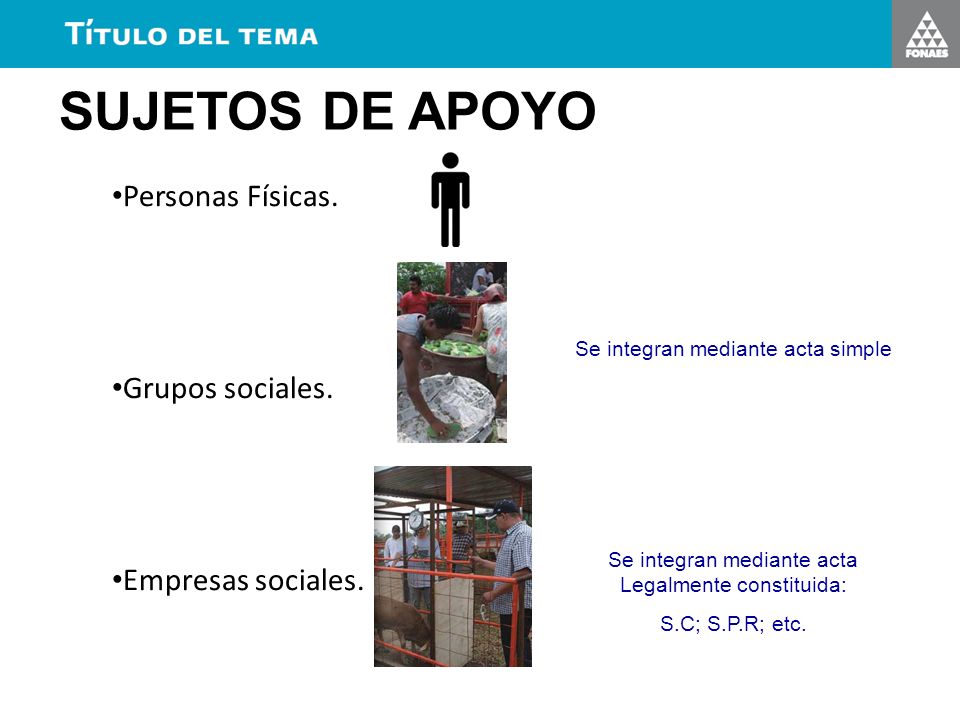 SUJETOS DE APOYO Personas Físicas. Grupos sociales. Empresas sociales.