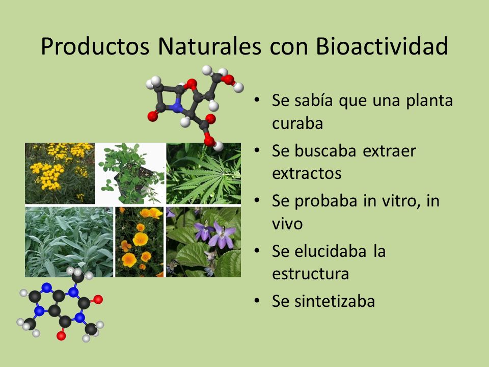 Productos Naturales con Bioactividad