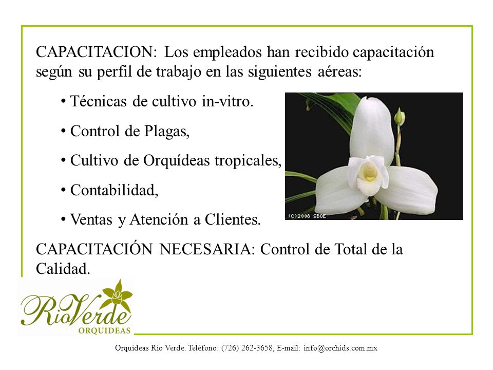 CAPACITACION: Los empleados han recibido capacitación según su perfil de trabajo en las siguientes aéreas: