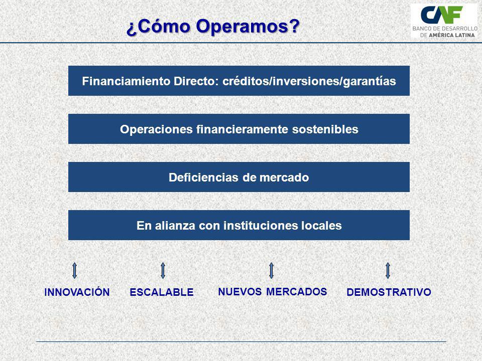 ¿Cómo Operamos Financiamiento Directo: créditos/inversiones/garantías