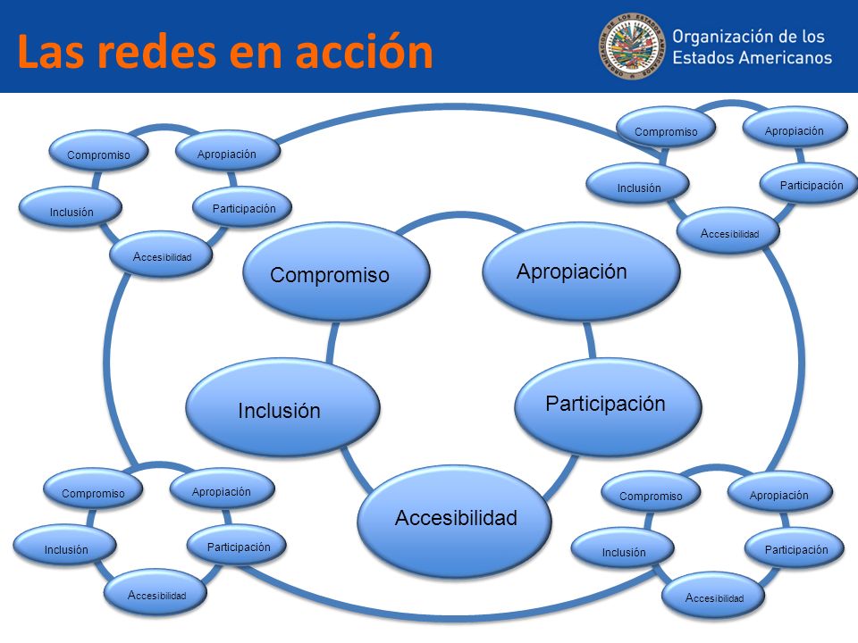 Las redes en acción Apropiación Compromiso Participación Inclusión