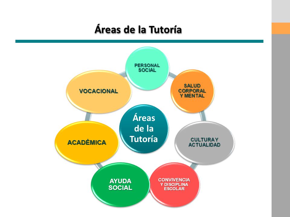 SALUD CORPORAL Y MENTAL CONVIVENCIA Y DISCIPLINA ESCOLAR