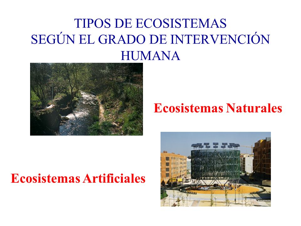 TIPOS DE ECOSISTEMAS SEGÚN EL GRADO DE INTERVENCIÓN HUMANA