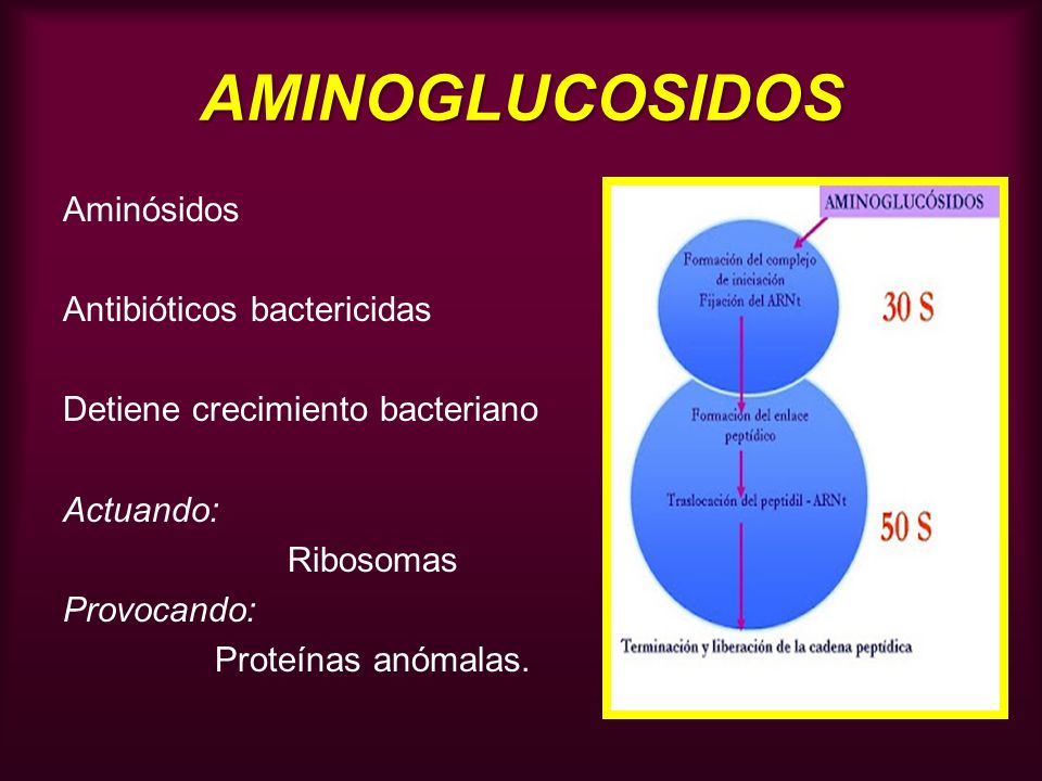 AMINOGLUCOSIDOS Aminósidos Antibióticos bactericidas Detiene crecimiento bacteriano Actuando: Ribosomas Provocando: Proteínas anómalas.
