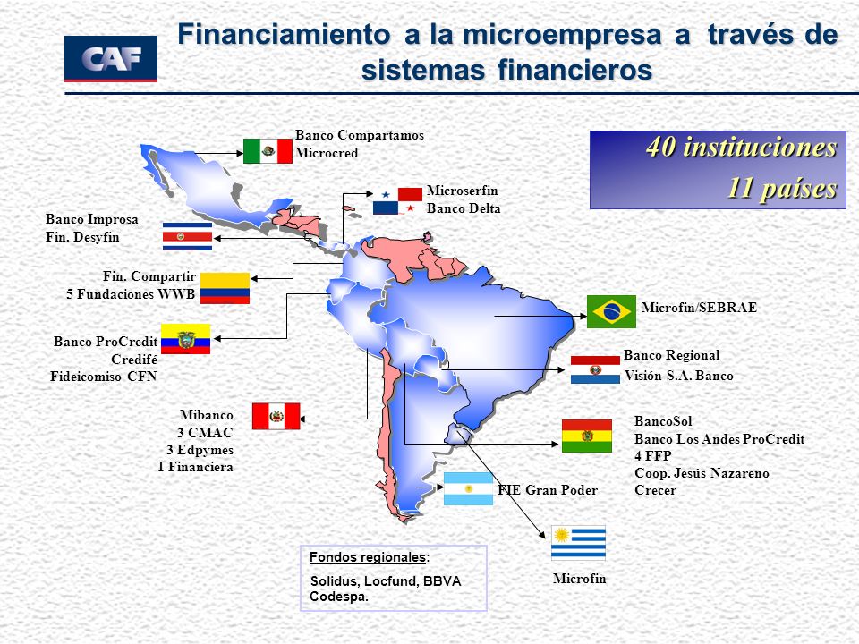 Financiamiento a la microempresa a través de sistemas financieros