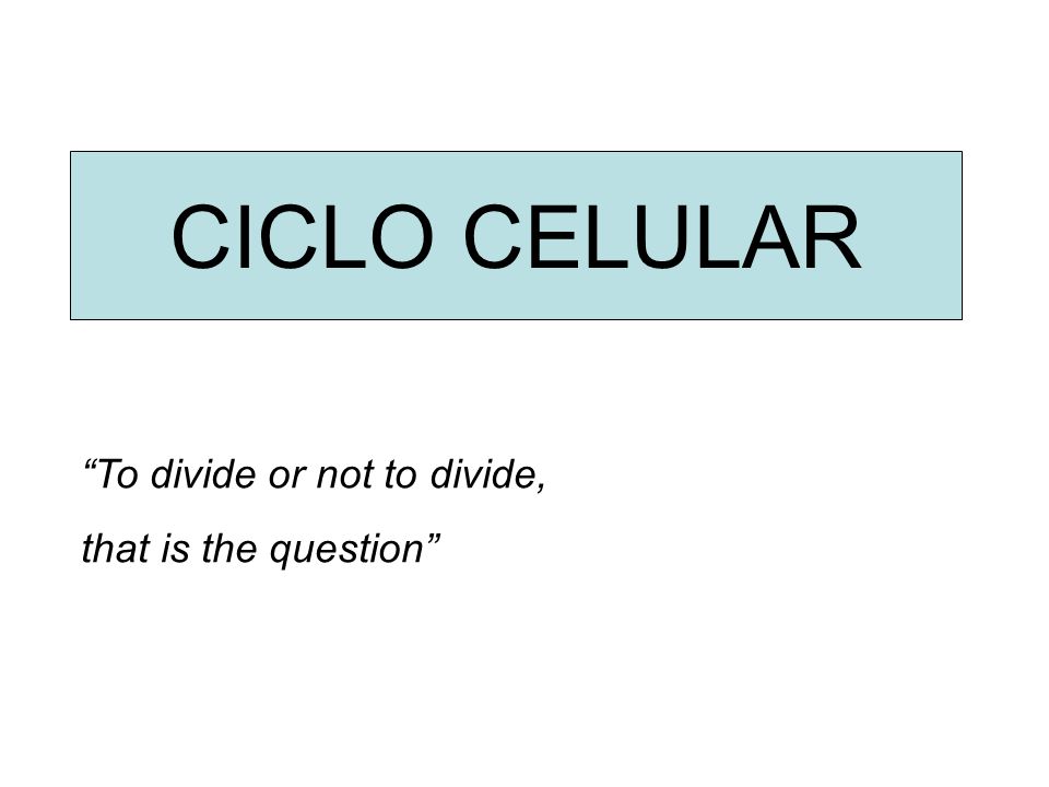 CICLO CELULAR To divide or not to divide, that is the question