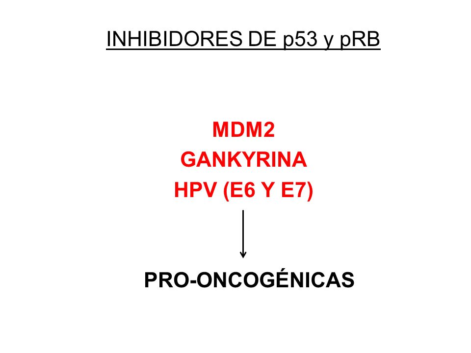 INHIBIDORES DE p53 y pRB MDM2 GANKYRINA HPV (E6 Y E7) PRO-ONCOGÉNICAS