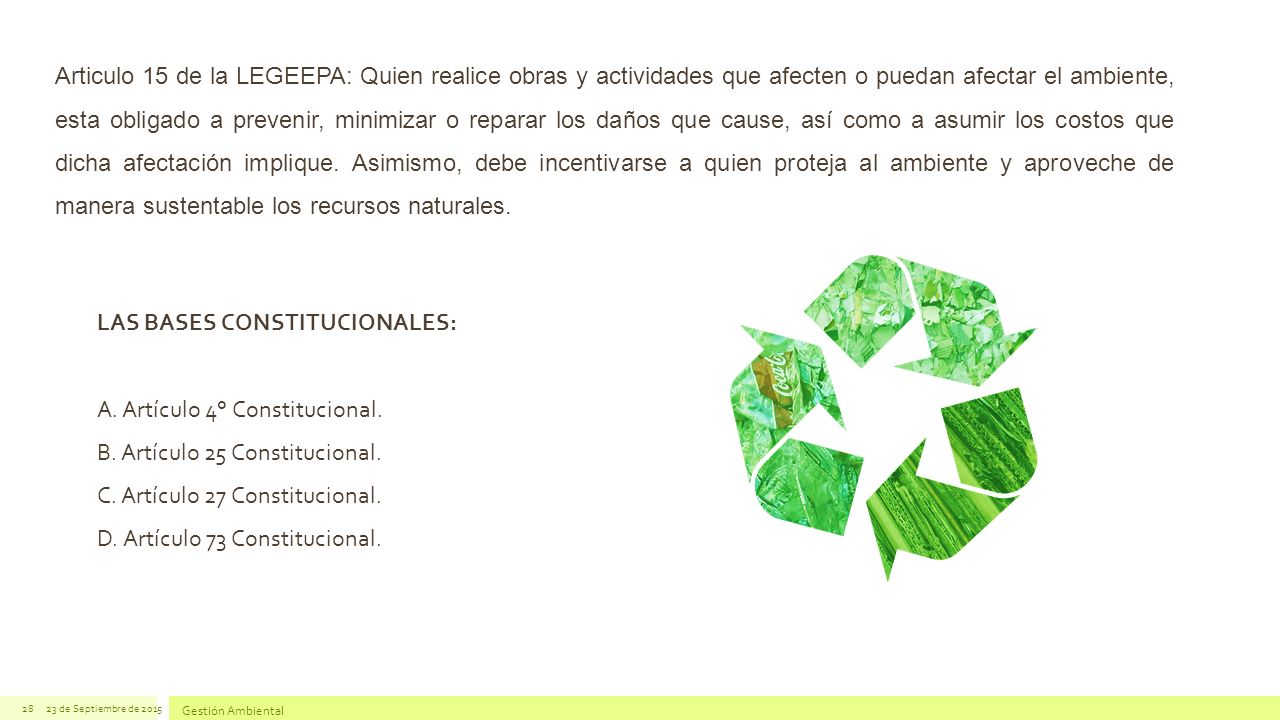 LAS BASES CONSTITUCIONALES: