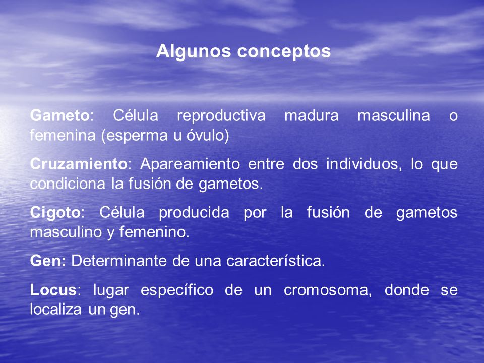 Algunos conceptos Gameto: Célula reproductiva madura masculina o femenina (esperma u óvulo)