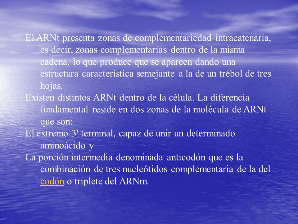 El ARNt presenta zonas de complementariedad intracatenaria, es decir, zonas complementarias dentro de la misma cadena, lo que produce que se apareen dando una estructura característica semejante a la de un trébol de tres hojas.