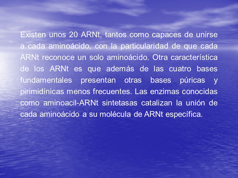 Existen unos 20 ARNt, tantos como capaces de unirse a cada aminoácido, con la particularidad de que cada ARNt reconoce un solo aminoácido.