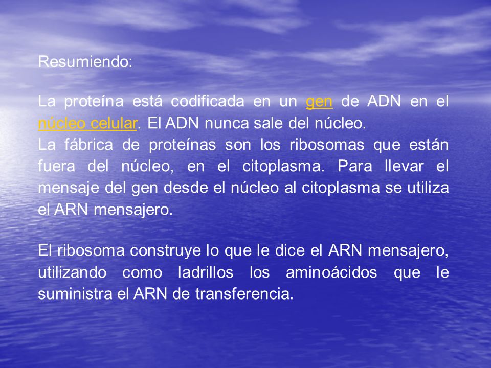 Resumiendo: La proteína está codificada en un gen de ADN en el núcleo celular. El ADN nunca sale del núcleo.