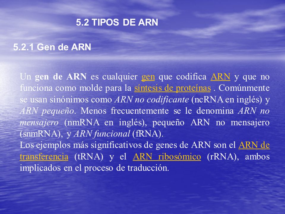 5.2 TIPOS DE ARN Gen de ARN.