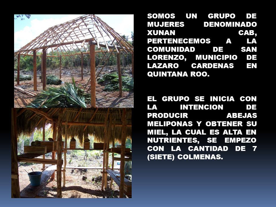SOMOS UN GRUPO DE MUJERES DENOMINADO XUNAN CAB, PERTENECEMOS A LA COMUNIDAD DE SAN LORENZO, MUNICIPIO DE LAZARO CARDENAS EN QUINTANA ROO.